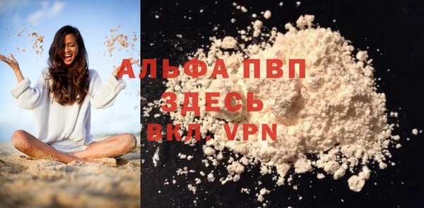 индика Елабуга