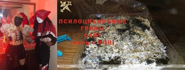 амф Заводоуковск