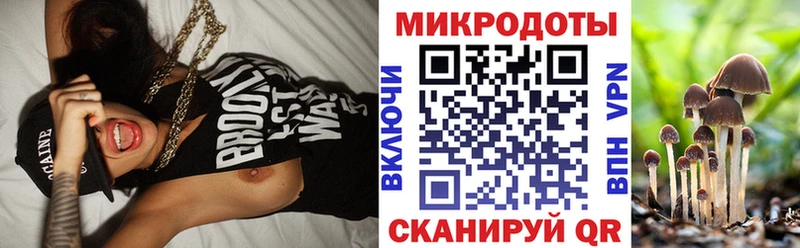Галлюциногенные грибы Psilocybine cubensis  сайты даркнета формула  Черкесск 